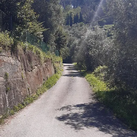Guest house Belvedere 10